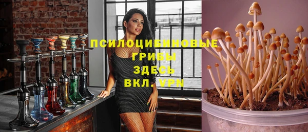 герыч Медногорск