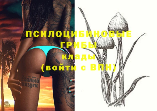 кокс Анива